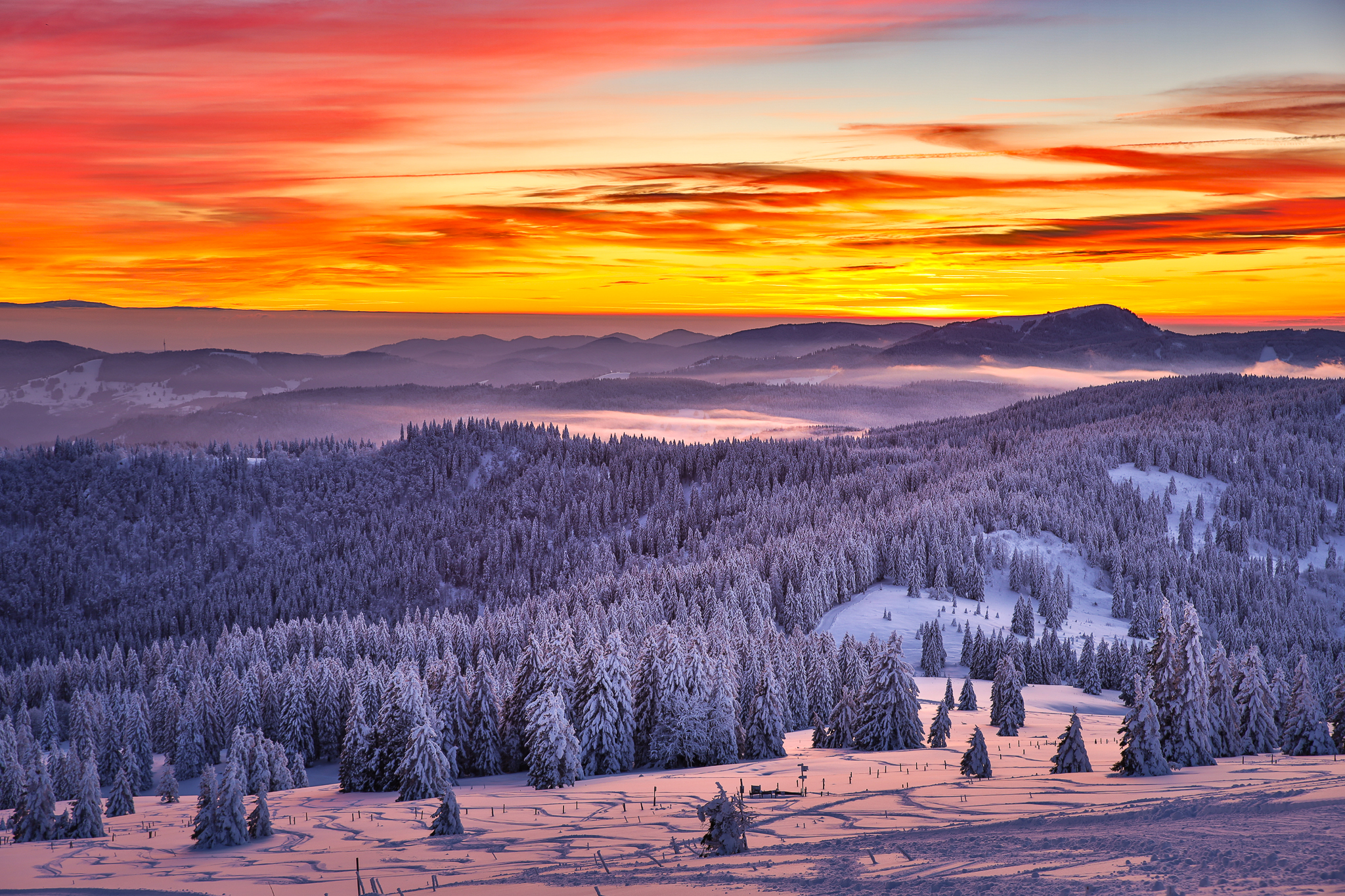 Wintertraum auf dem Feldberg