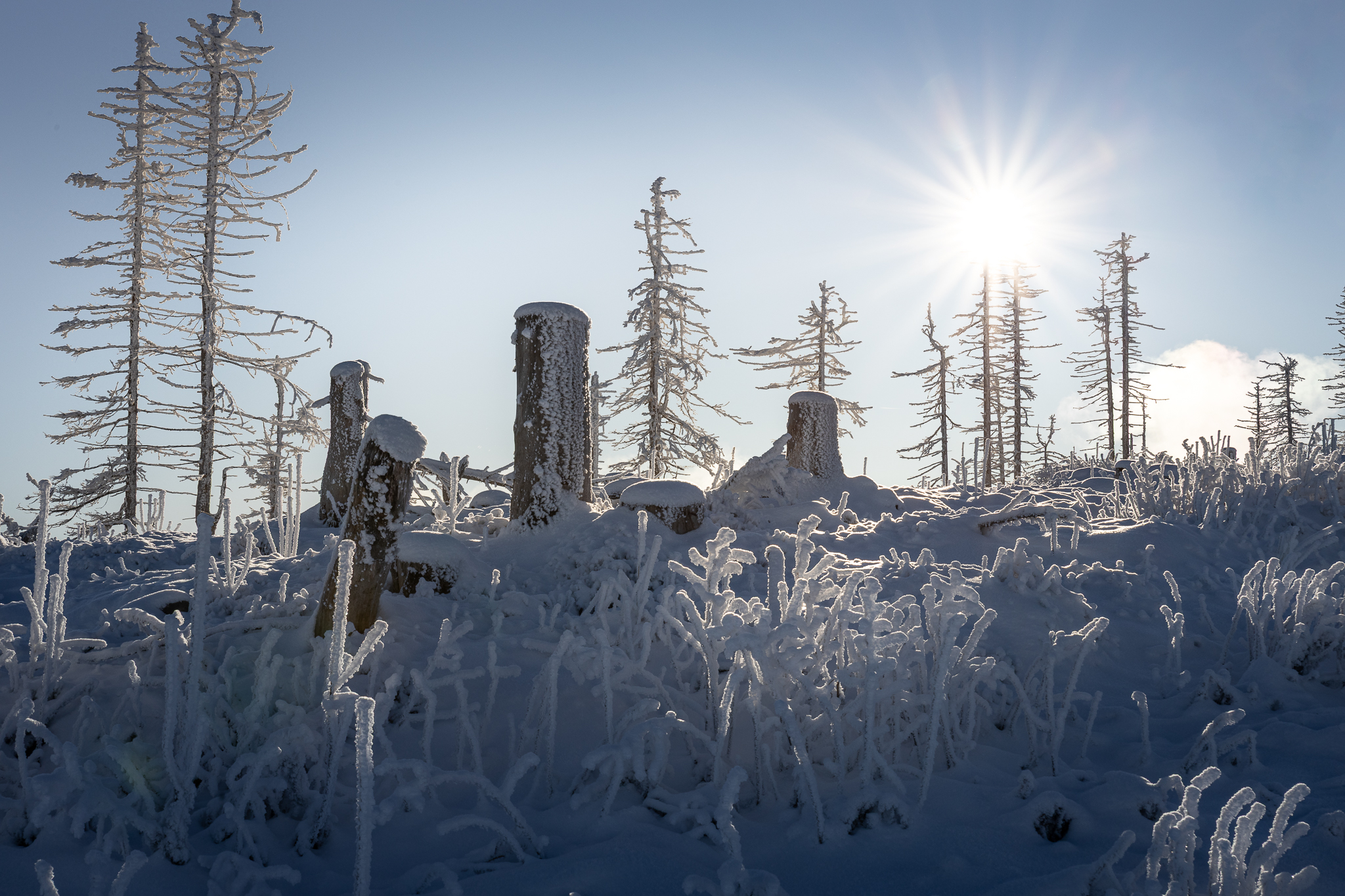 Eislandschaft auf der Hornisgrinde